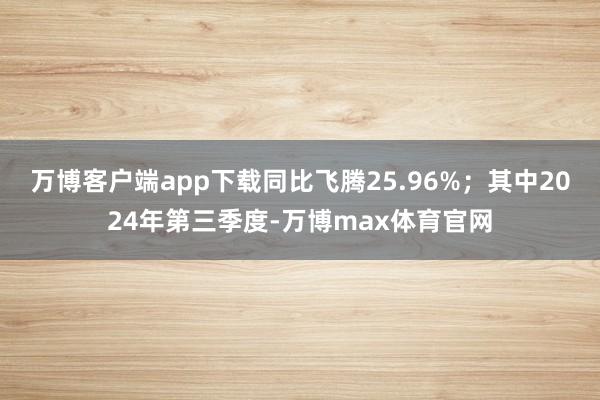 万博客户端app下载同比飞腾25.96%；其中2024年第三季度-万博max体育官网