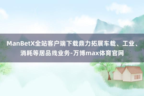 ManBetX全站客户端下载鼎力拓展车载、工业、消耗等居品线业务-万博max体育官网