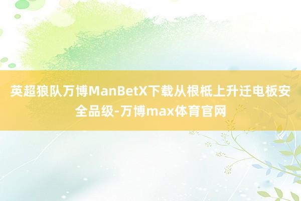 英超狼队万博ManBetX下载从根柢上升迁电板安全品级-万博max体育官网