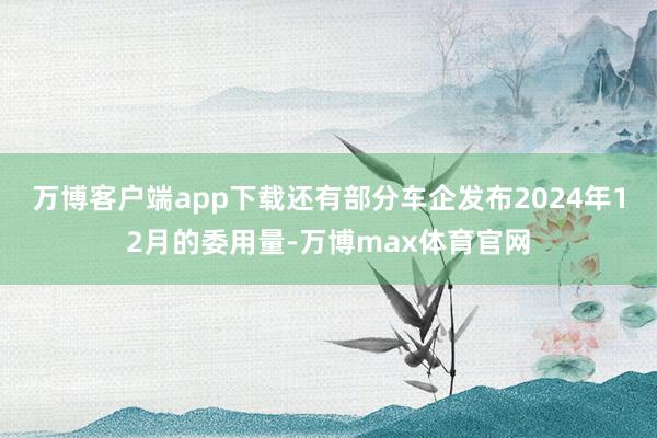 万博客户端app下载　　还有部分车企发布2024年12月的委用量-万博max体育官网