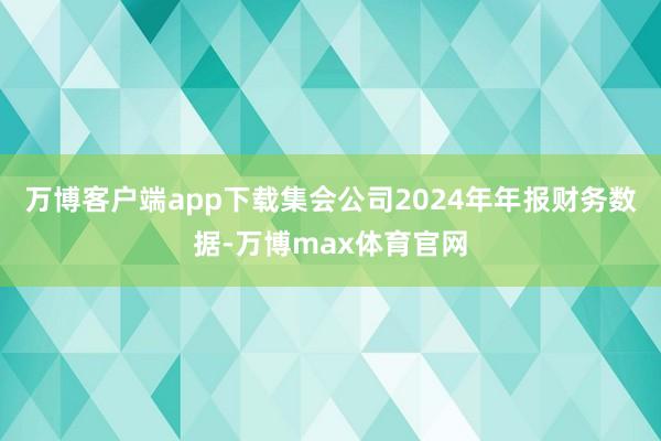 万博客户端app下载集会公司2024年年报财务数据-万博max体育官网