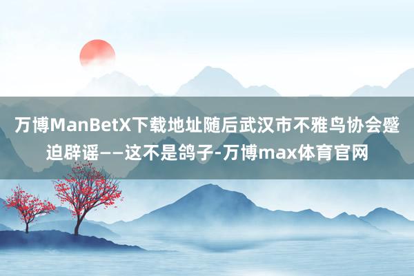 万博ManBetX下载地址随后武汉市不雅鸟协会蹙迫辟谣——这不是鸽子-万博max体育官网