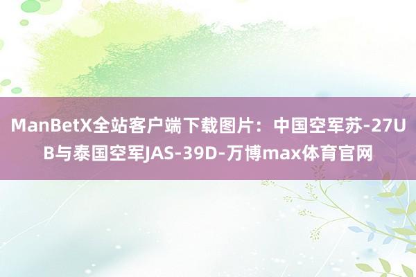 ManBetX全站客户端下载图片：中国空军苏-27UB与泰国空军JAS-39D-万博max体育官网