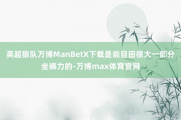 英超狼队万博ManBetX下载是能目田很大一部分坐褥力的-万博max体育官网