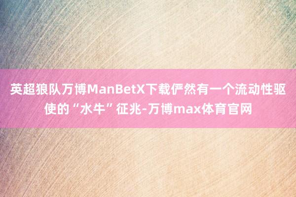 英超狼队万博ManBetX下载俨然有一个流动性驱使的“水牛”征兆-万博max体育官网