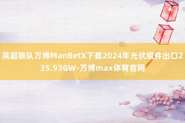 英超狼队万博ManBetX下载2024年光伏组件出口235.93GW-万博max体育官网