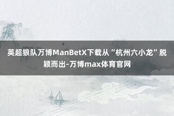 英超狼队万博ManBetX下载从“杭州六小龙”脱颖而出-万博max体育官网