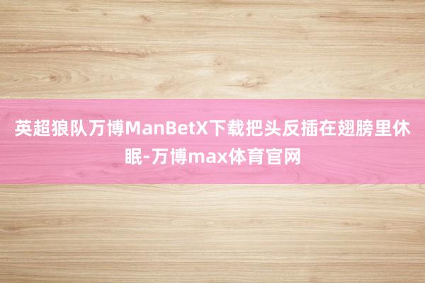 英超狼队万博ManBetX下载把头反插在翅膀里休眠-万博max体育官网
