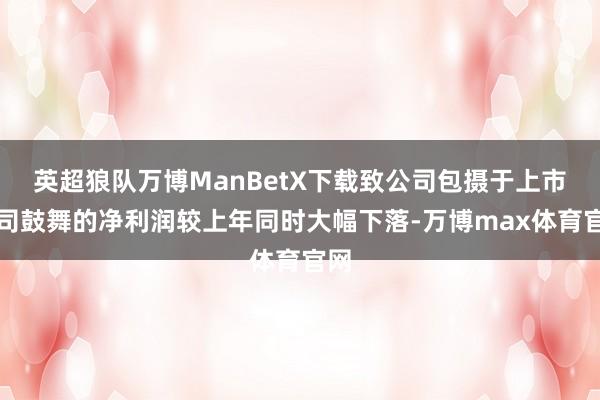 英超狼队万博ManBetX下载致公司包摄于上市公司鼓舞的净利润较上年同时大幅下落-万博max体育官网