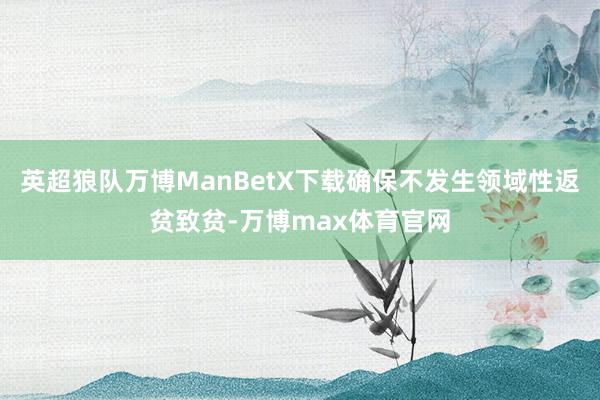 英超狼队万博ManBetX下载确保不发生领域性返贫致贫-万博max体育官网
