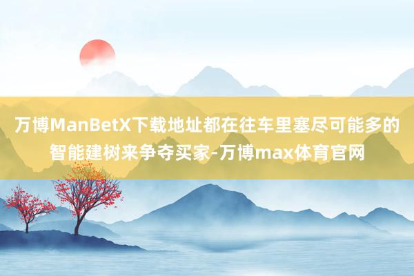 万博ManBetX下载地址都在往车里塞尽可能多的智能建树来争夺买家-万博max体育官网