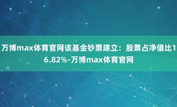万博max体育官网该基金钞票建立：股票占净值比16.82%-万博max体育官网