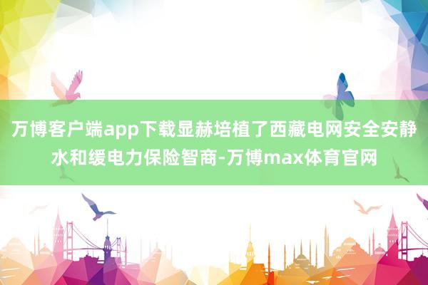 万博客户端app下载显赫培植了西藏电网安全安静水和缓电力保险智商-万博max体育官网