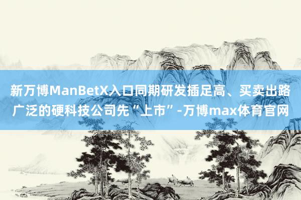 新万博ManBetX入口同期研发插足高、买卖出路广泛的硬科技公司先“上市”-万博max体育官网